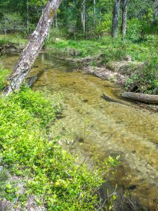 Grogan Creek Sandbar