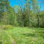 Picklesimer Fields in Spring