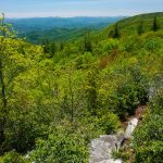 View from Big Firescald Knob