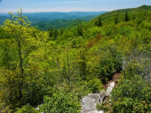 View from Big Firescald Knob