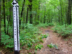 Briery Fork Trail at the new Turkey Knob Extension