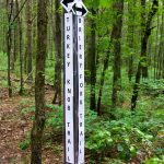 Turkey Knob and Briery Fork Trail Sign