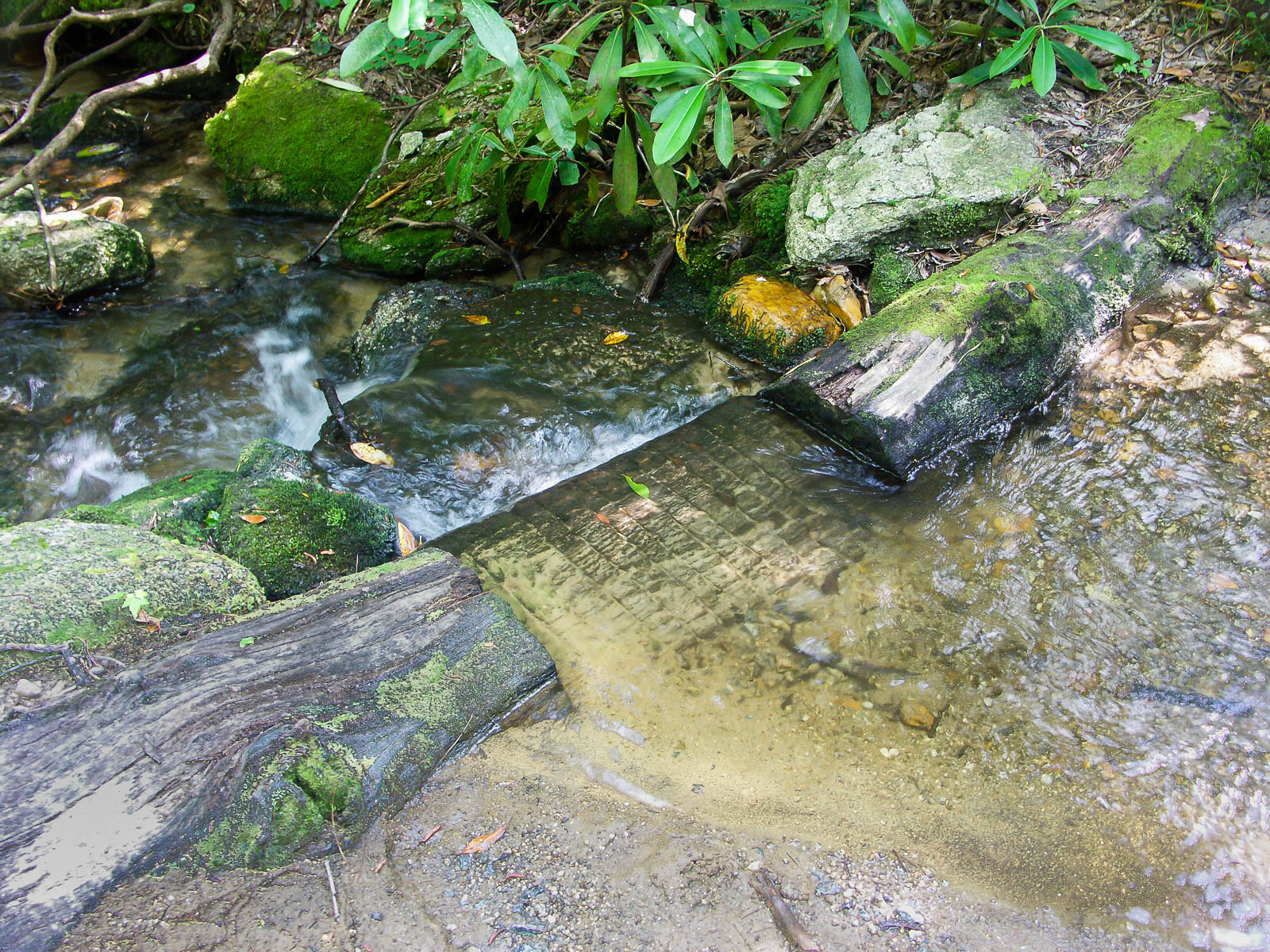 2013-06-16_pisgah-davidson-river_pink-beds-stream-log-slot.jpg