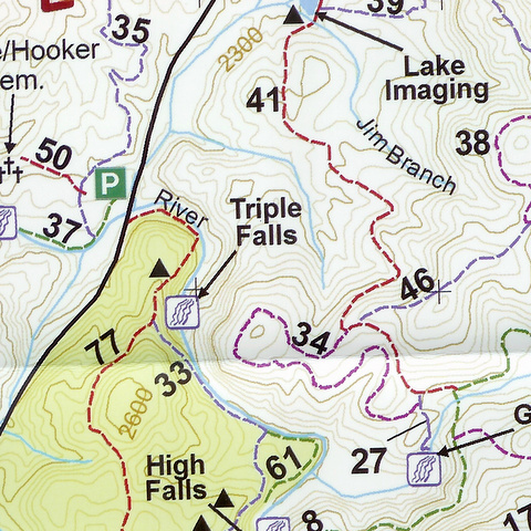 map_fodf