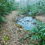 Bad Fork Trail and Stream