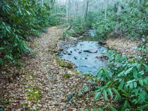 Bad Fork Trail and Stream
