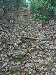 Bad Fork Trail Steep Section