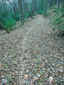 Bad Fork Trail Straight Section