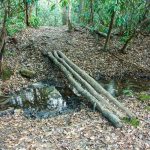 Triple Log Bridge