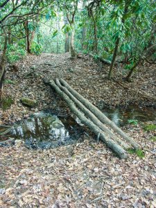 Triple Log Bridge