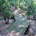 Bridge on the Cherry Cove trail