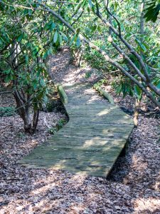 Bridge on the Cherry Cove trail