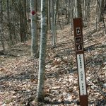 Start of the Cherry Cove Trail