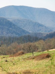 View of Pastures