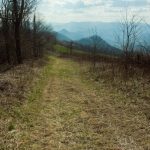 Cherry Cove Trail on Old Road