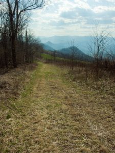 Cherry Cove Trail on Old Road