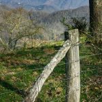 East Boundary Road Fence and View