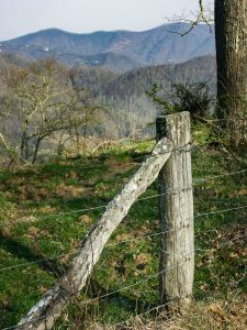 East Boundary Road Fence and View