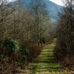 View of Rocky Knob