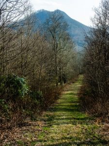 View of Rocky Knob