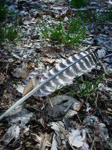 Rough Creek Watershed Feather