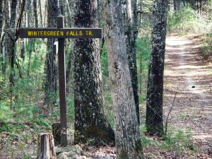 Wintergreen Falls Trail Sign