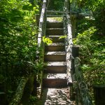 Steps on the Gate Trail