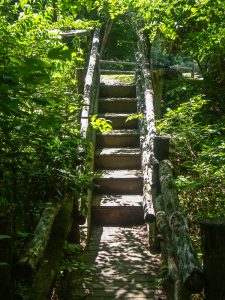 Steps on the Gate Trail