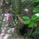 Bridge over Tributary on the Gate Trail