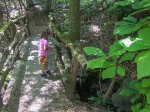 Bridge over Tributary on the Gate Trail