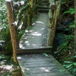 Wood Bridge and Steps on the Gate Trail