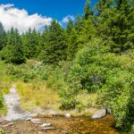 Flat Laurel Creek Trail Stream Crossing