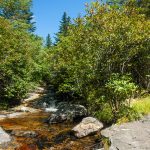 Stream Crossing on Little Sam Trail