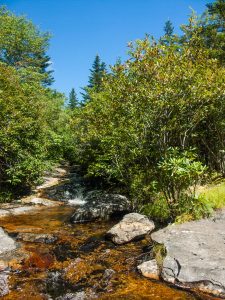 Stream Crossing on Little Sam Trail