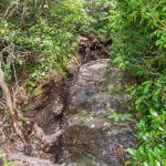 Art Loeb Trail Erosion