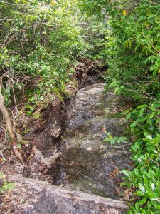 Art Loeb Trail Erosion