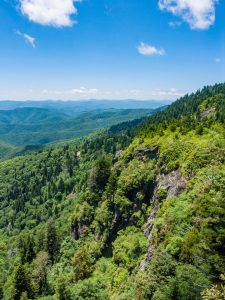 View South from Silvermine Bald