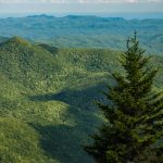 Pilot Mountain from Chestnut Bald