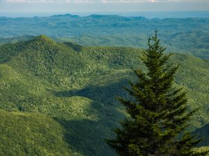 Pilot Mountain from Chestnut Bald