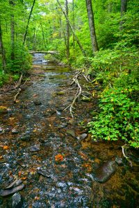 Creek Above Crabtree Falls