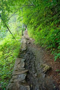 Rock Wall and Mud on the Crabtree Falls Trail