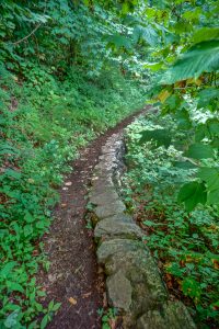 Rock Wall on the Crabtree Falls Trail