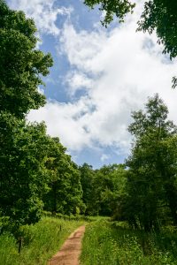 Meadow on the Crabtree Falls Trail