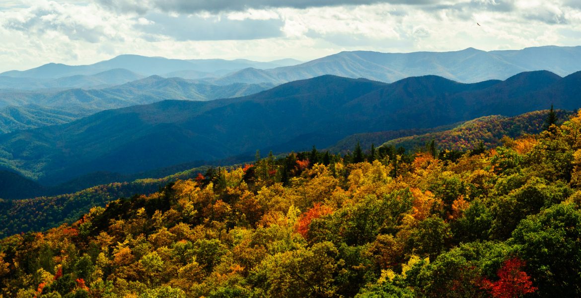 Fall Color from the Green Knob Overlook