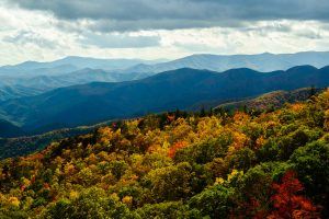 Fall Color from the Green Knob Overlook