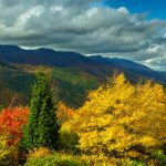 Black Mountains in Fall Color