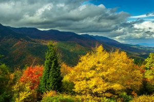 Black Mountains in Fall Color