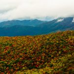 Fall Color in Big Ivy