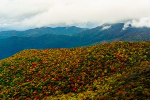 Fall Color in Big Ivy