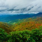 Fall Color in Big Ivy